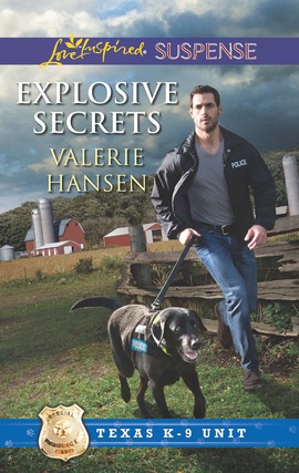 Title details for Explosive Secrets by Valerie Hansen - Wait list